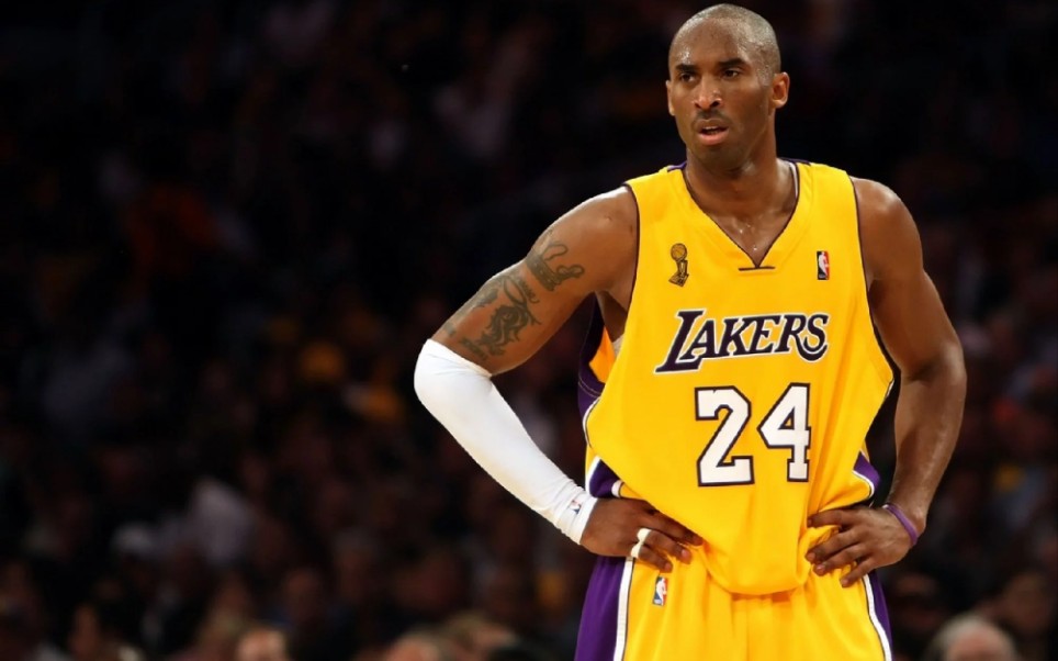 案例对照 案例对照