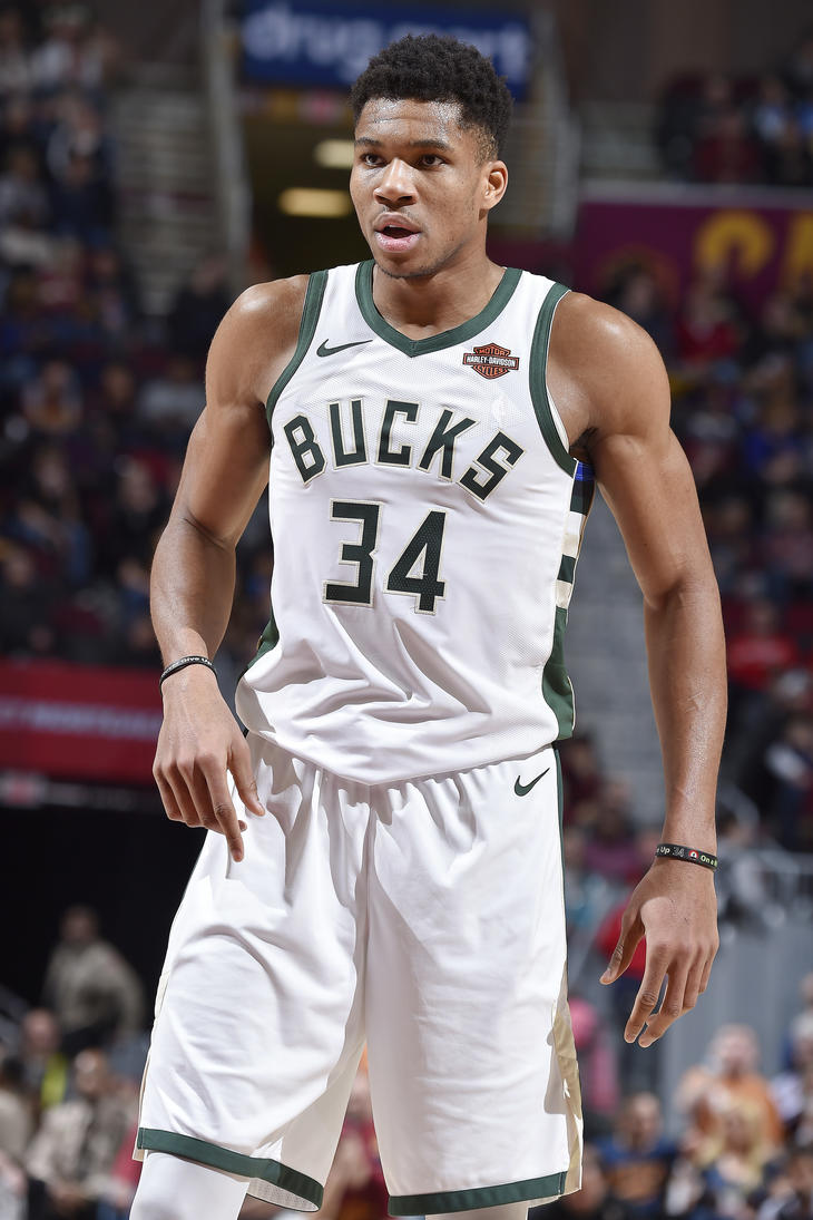 掘金与森林 掘金与森林